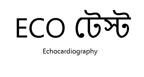 হৃদযন্ত্র পরীক্ষায় ECO টেস্ট