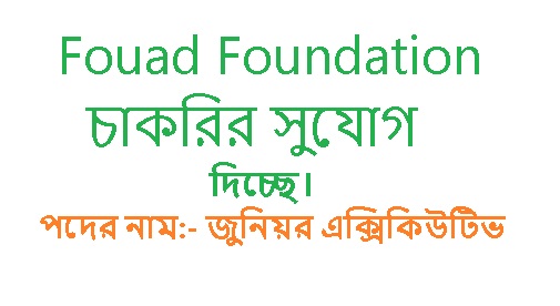Fouad Foundation Accounts Job 2026