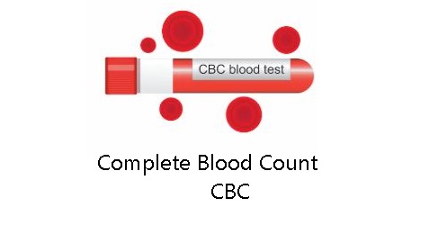 স্বাস্থ্য পরীক্ষায় CBC টেস্ট