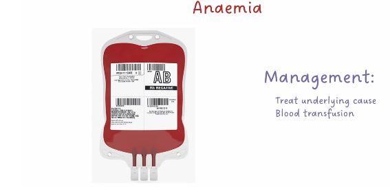 স্বাস্থ্য পরীক্ষায় CBC টেস্ট