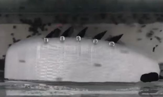 মাছের মতো দেখতে যন্ত্র যে জল বাঁচাবে