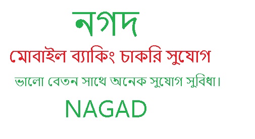 High Growth Data Engineer Job at Nagad