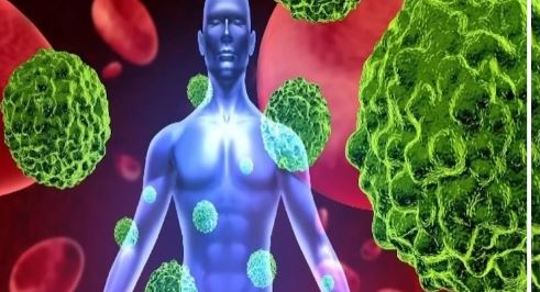 প্রোটিন গ্রহণে বাড়ে ক্যানসারের ঝুঁকি