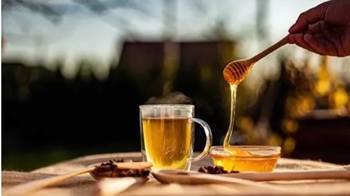 খাঁটি মধু না ভেজাল 1 মিনিটে যাচাই করুন