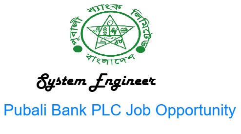 System Engineer job at Pubali Bank