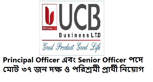 Principal Officer Jobs at UCB Business
