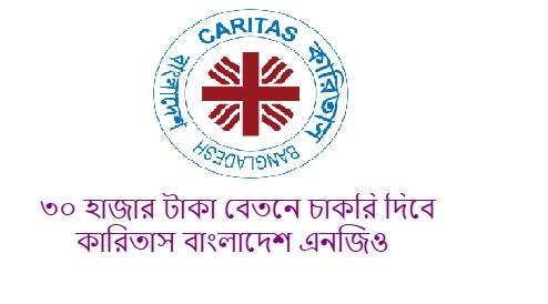 এনজিও সেক্টরে ক্যারিয়ার গড়ার সুযোগ