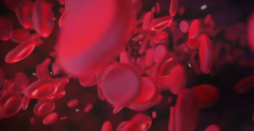 কোলেস্টেরল কমাতে কী করতে হবে