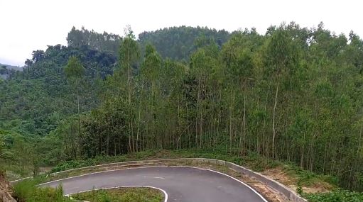 লামার পর্যটন স্পট খুলে দিল প্রশাসন