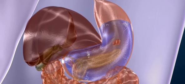 হজমে কোন খাবারে কত সময় লাগে